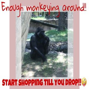 No more monkey business!🐵SHOP ‘TIL YOU DROP!💁‍♀️